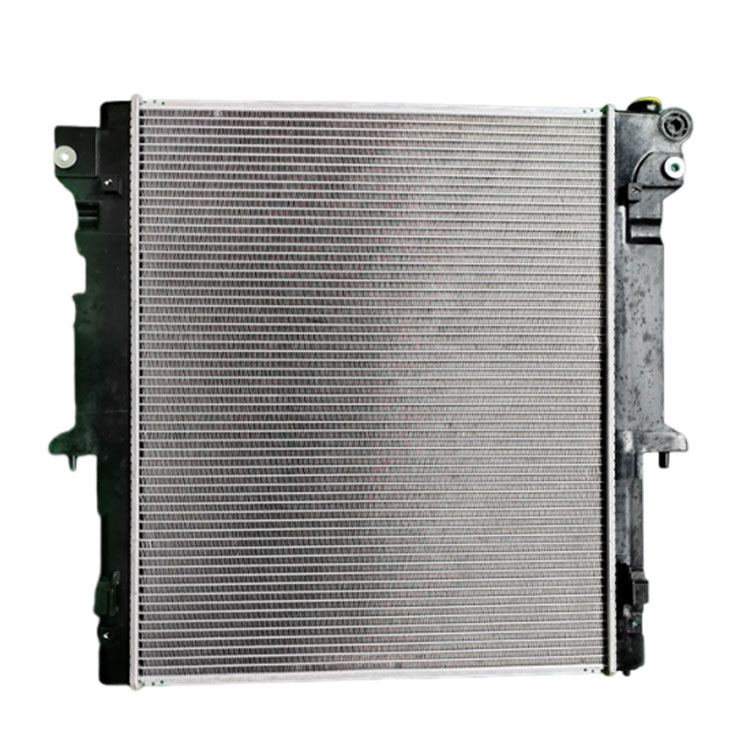 Mitsubishi Pajero Radiatoro